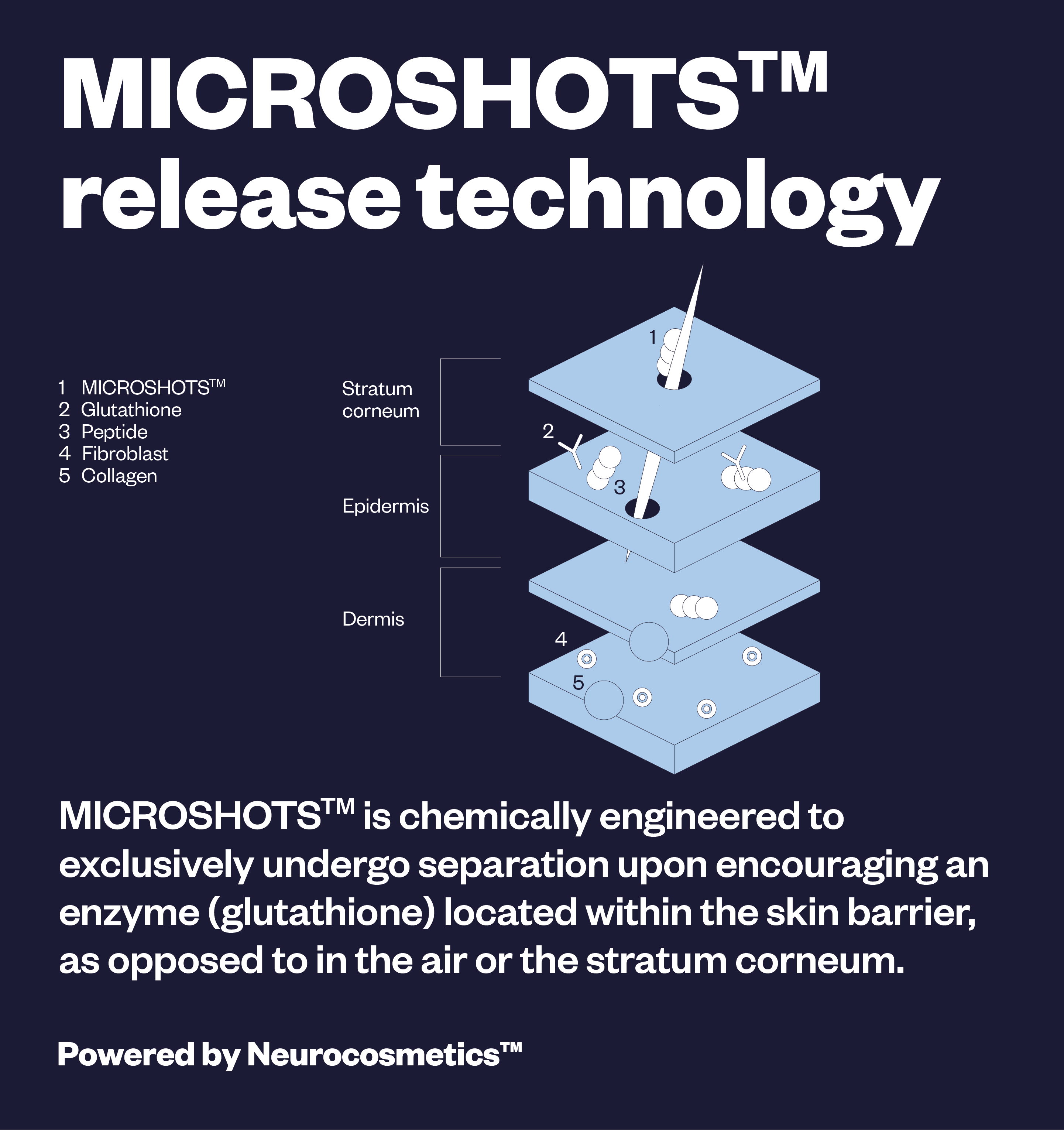 Microshots™ - Vogue Award-winning AgeDefying Peptide⁶ Cream